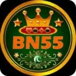 BN55