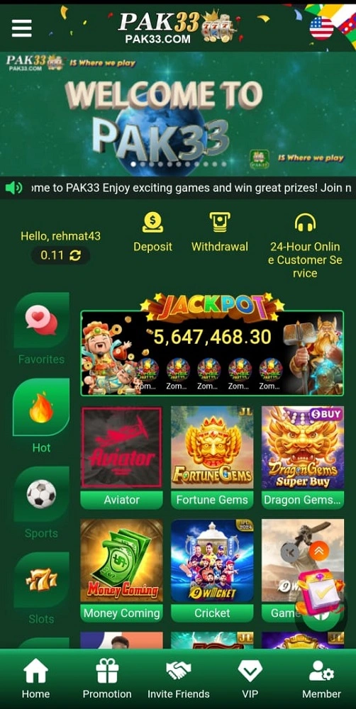 PAK33 Game